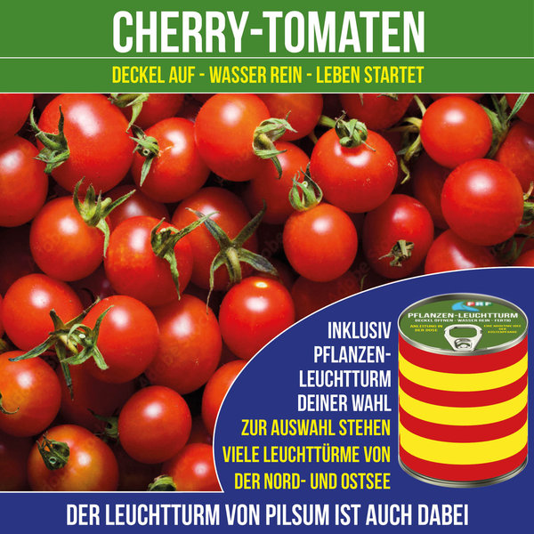 Cherry-Tomaten im Pflanzen-Leuchtturm